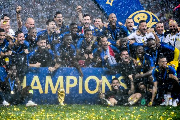 不仅可以提 不仅可以提