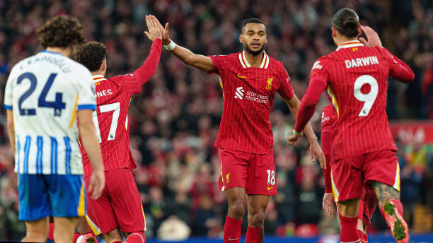 总而言之 总而言之